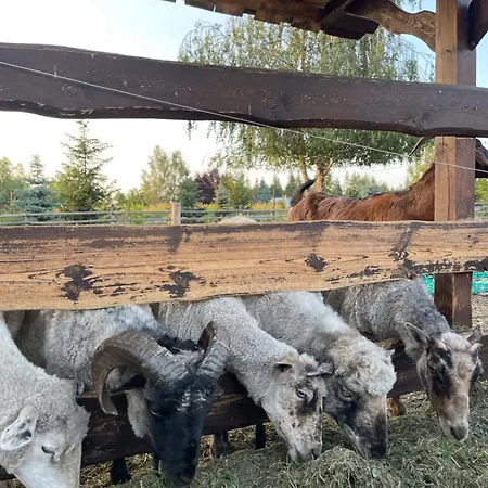Stativa Campo Gitano Chalé