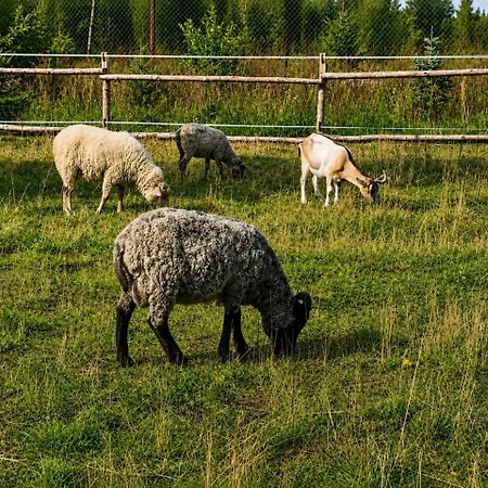 Stativa Campo Gitano Chalé
